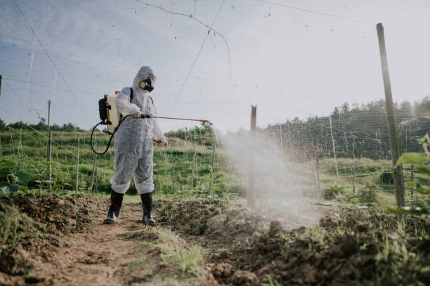Best Mosquito Control Services  in Fordyce, AR