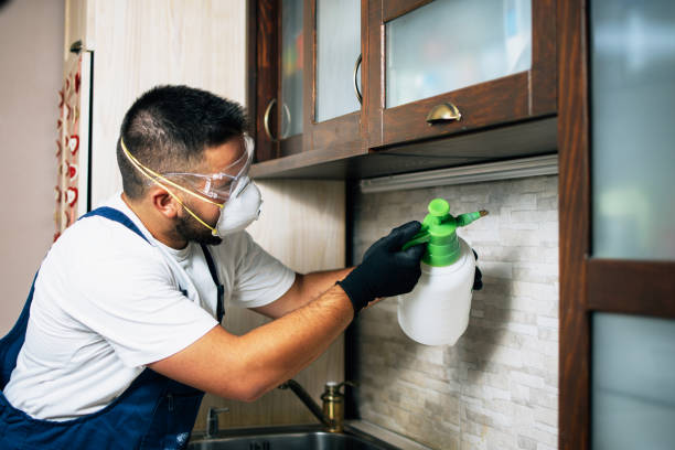Best Ant Control Services  in Fordyce, AR