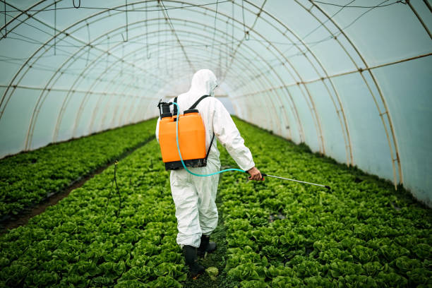 Best Pest Control for Restaurants  in Fordyce, AR