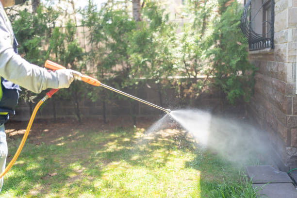Best Insect Control  in Fordyce, AR