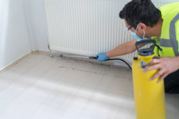 Professional Pest Control in Fordyce, AR