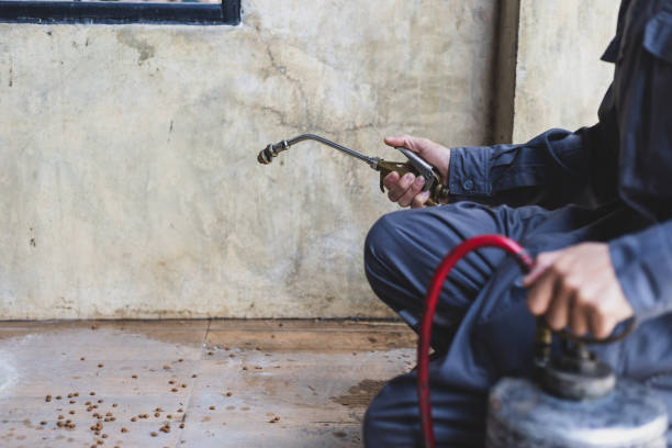 Best Cockroach Control Services  in Fordyce, AR